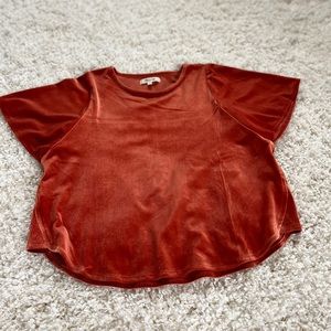 Madewell velvet scoop neck tee